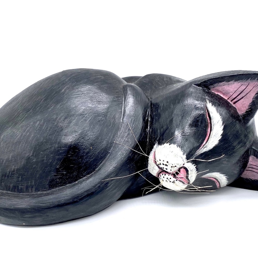 All Curled Up Sleeping Black Cat